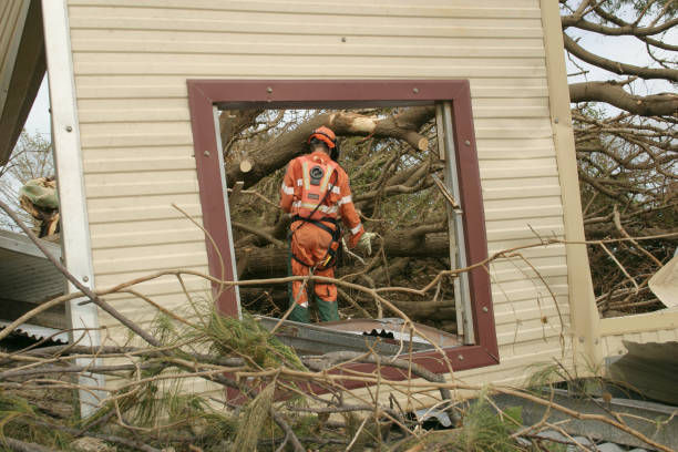 Best Emergency Tree Removal  in Bristol, VA